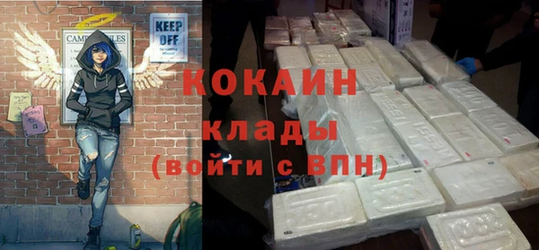 крисы Алзамай