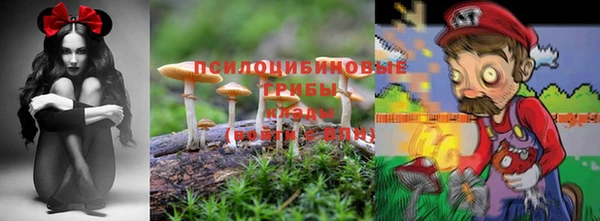 ПСИЛОЦИБИНОВЫЕ ГРИБЫ Алексеевка