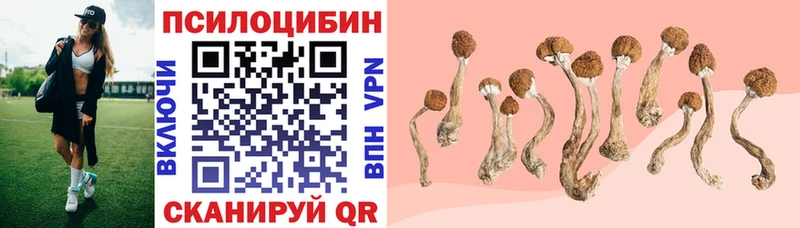 Галлюциногенные грибы Psilocybe Амурск